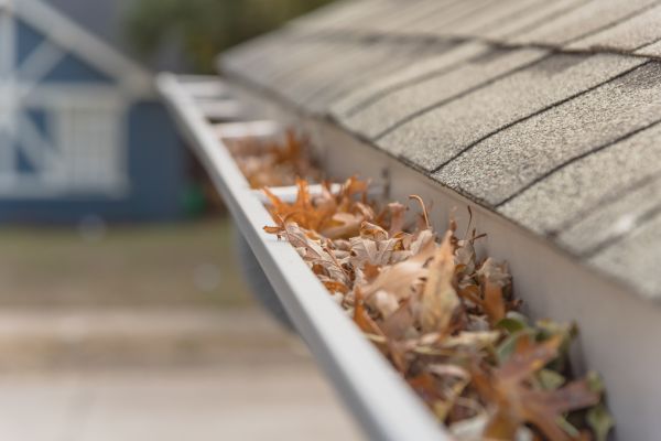 Leaf Barrier Installation in North Canton